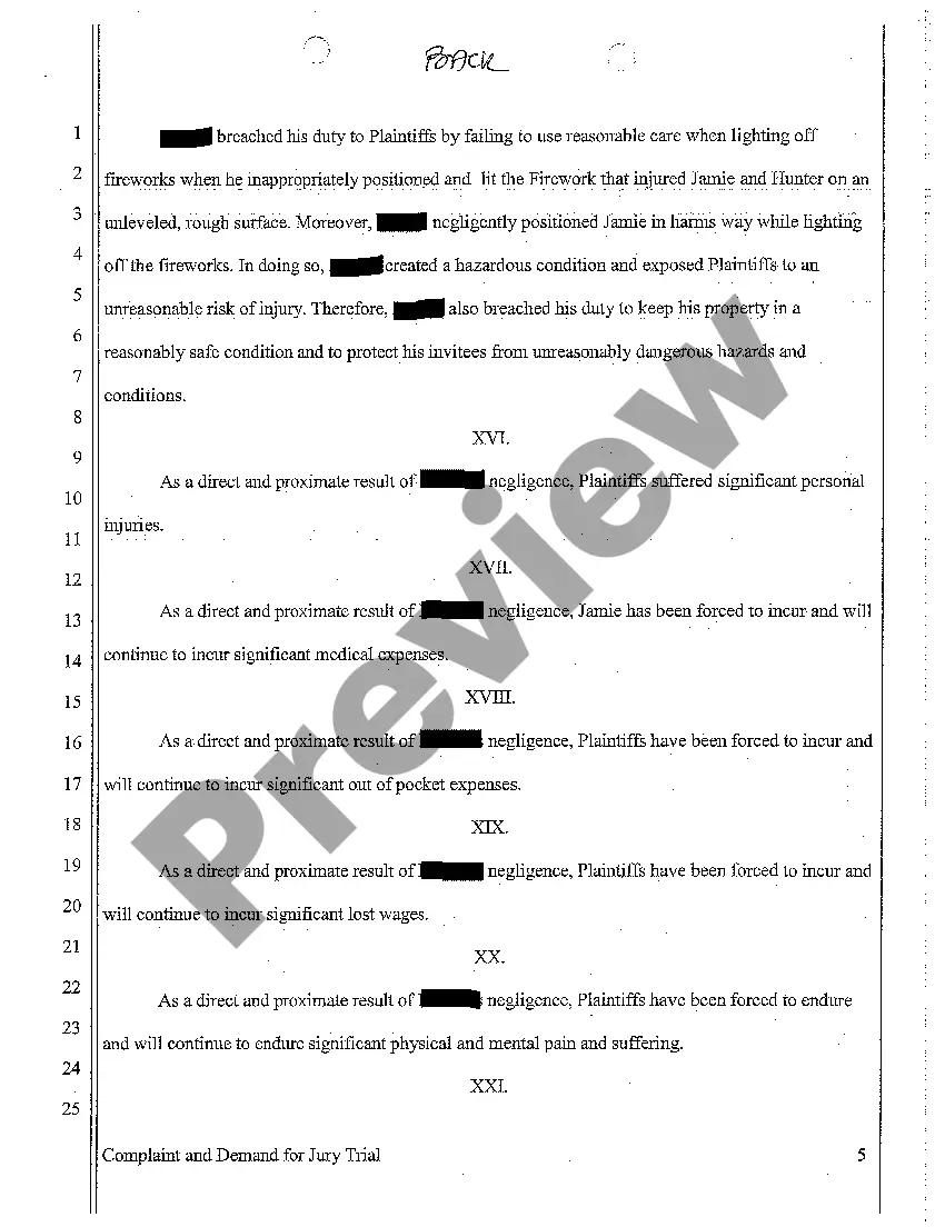 Preview A01 Complaint for Personal Injury Sustained to Invitee Who was Hit in Eye by Firework