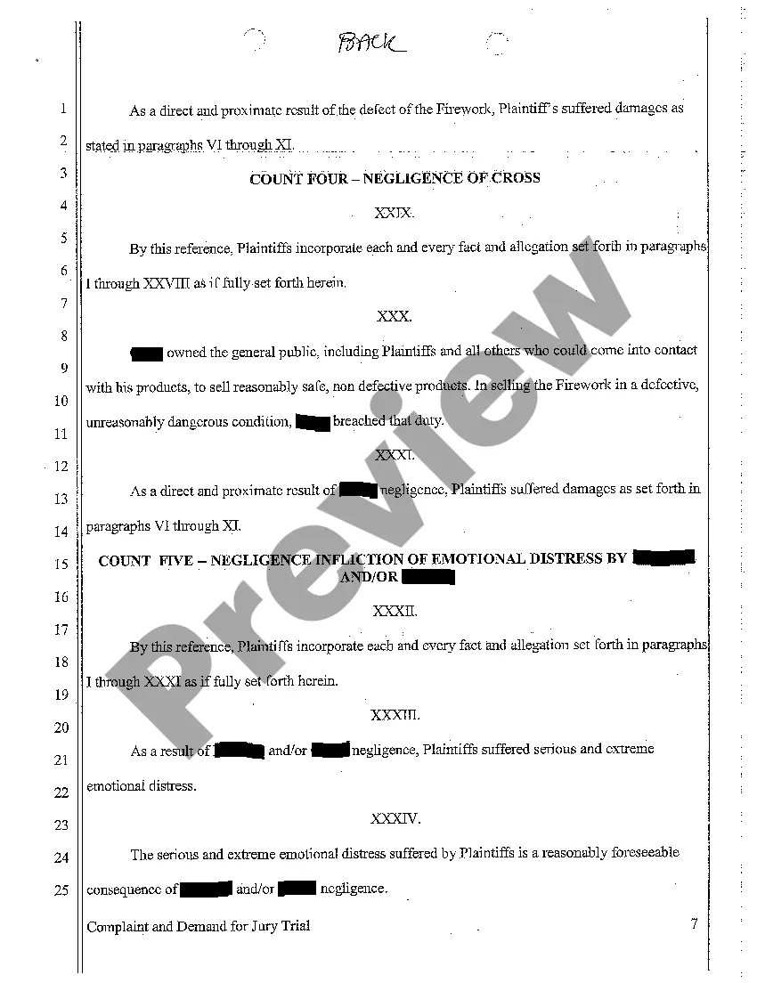 Preview A01 Complaint for Personal Injury Sustained to Invitee Who was Hit in Eye by Firework