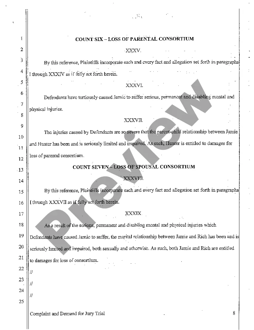 Preview A01 Complaint for Personal Injury Sustained to Invitee Who was Hit in Eye by Firework