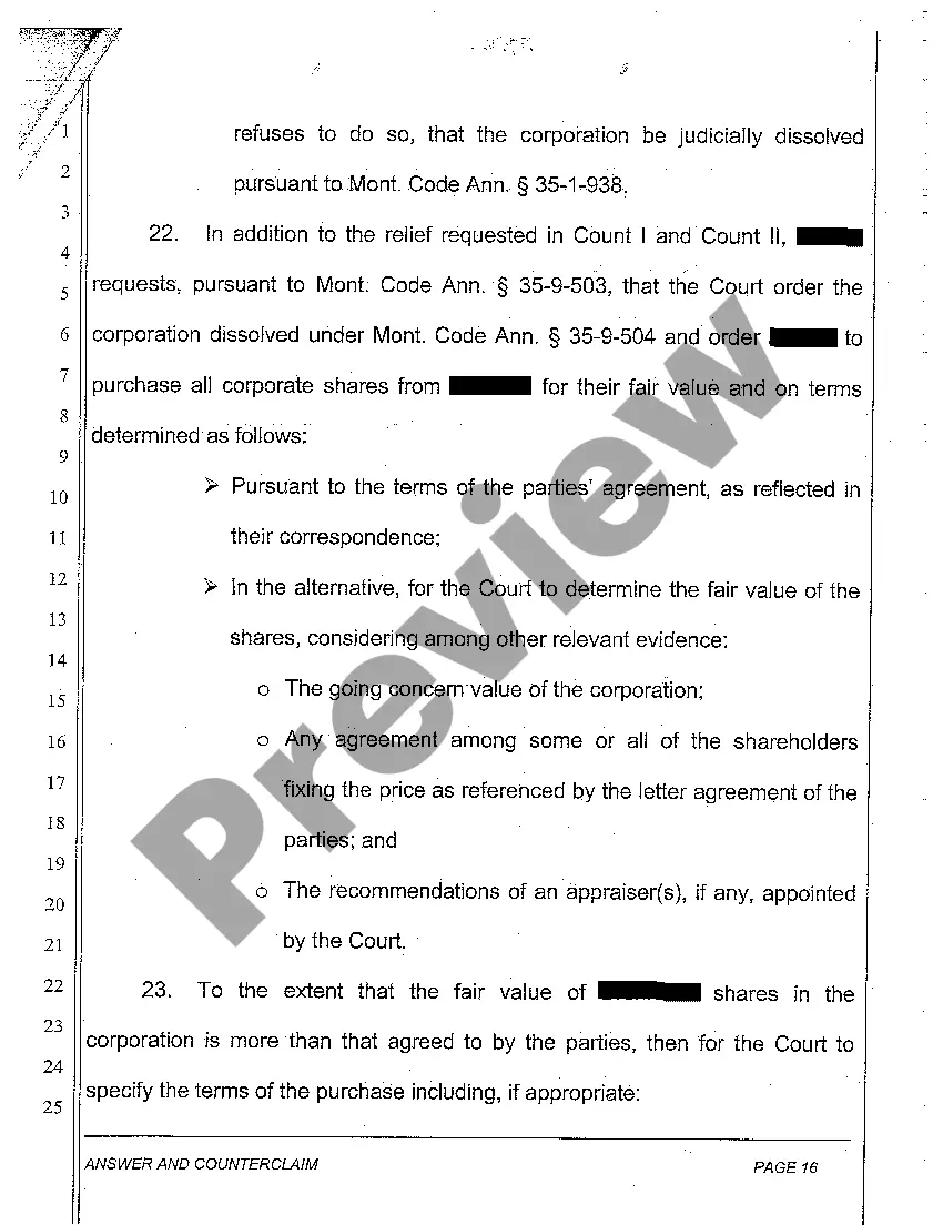 Preview A17 Answer and Counterclaim