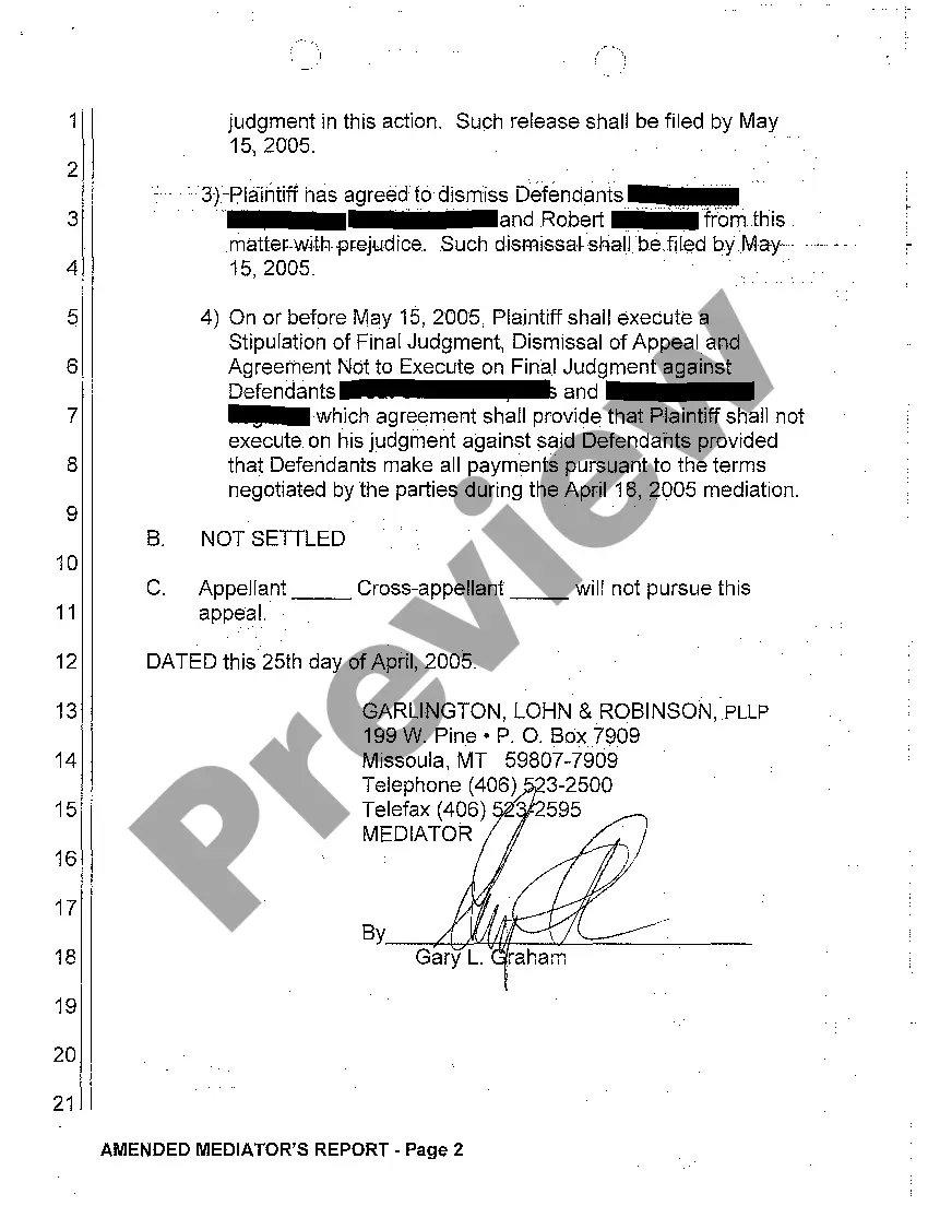 Preview A15 Amended Mediator's Report