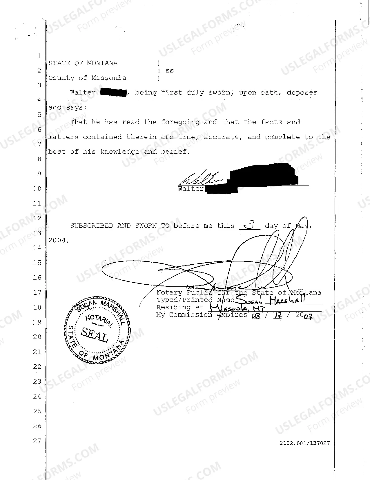 Preview A01 Application for Informal Appointment of Personal Representative in Intestacy