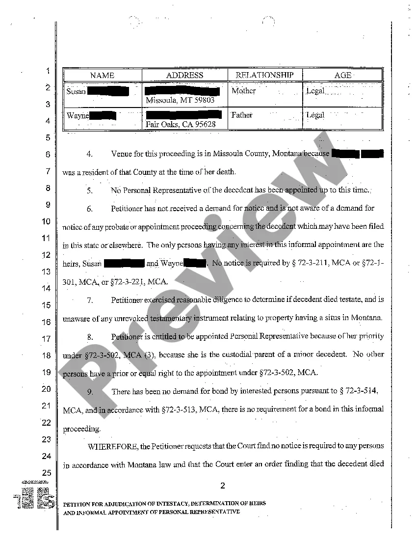 Preview A01 Petition for Adjudication of Intestacy, Determination of Heirs and Informal Appointment of Personal Representative