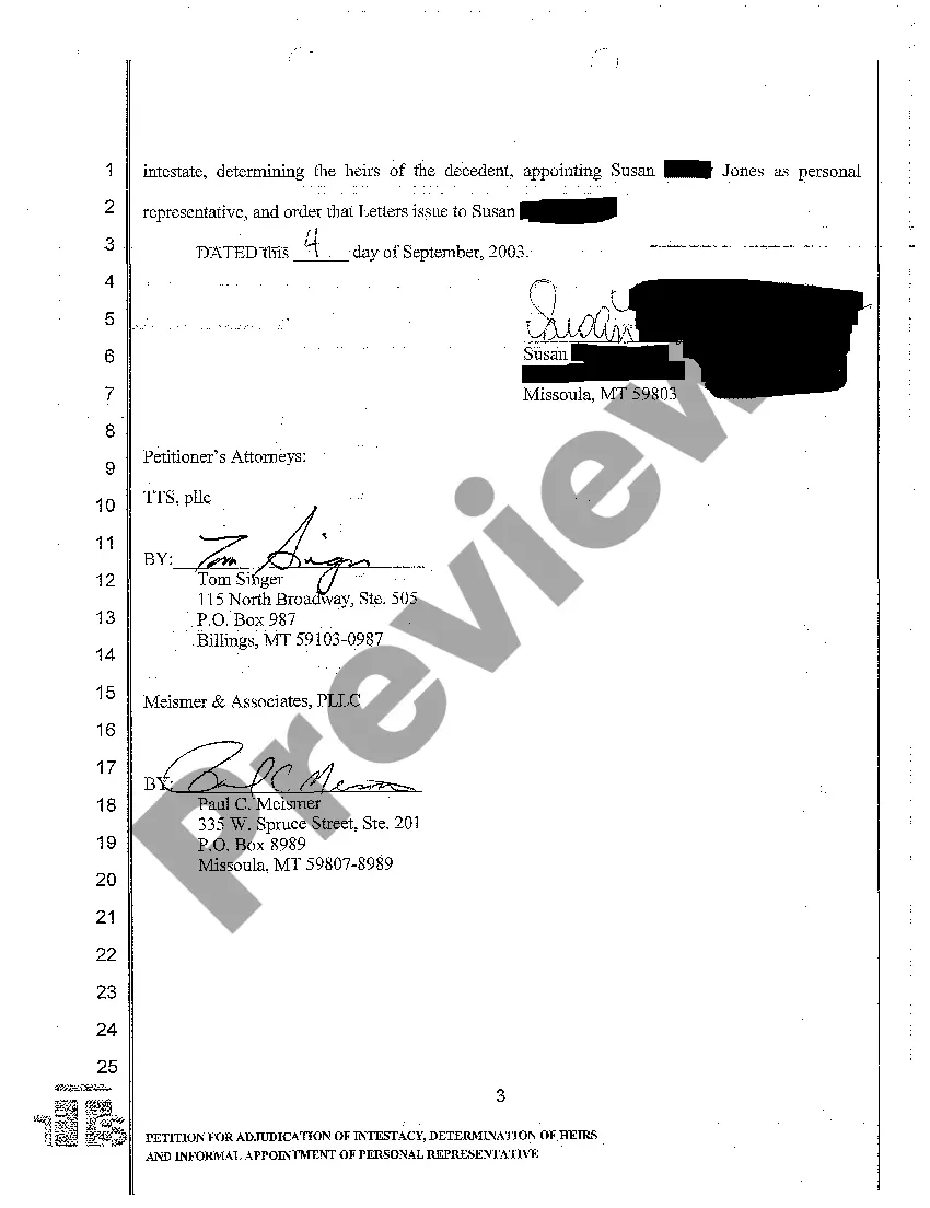 Preview A01 Petition for Adjudication of Intestacy, Determination of Heirs and Informal Appointment of Personal Representative