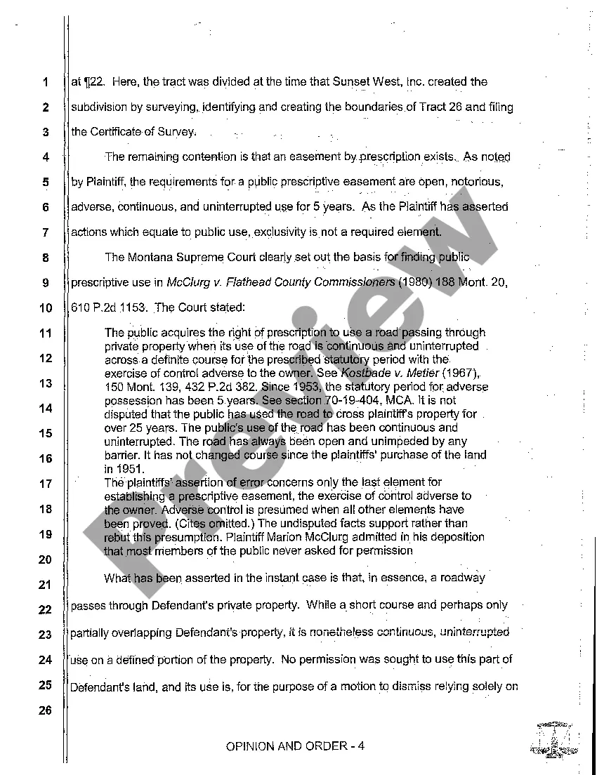 Preview A03 Opinion and Order