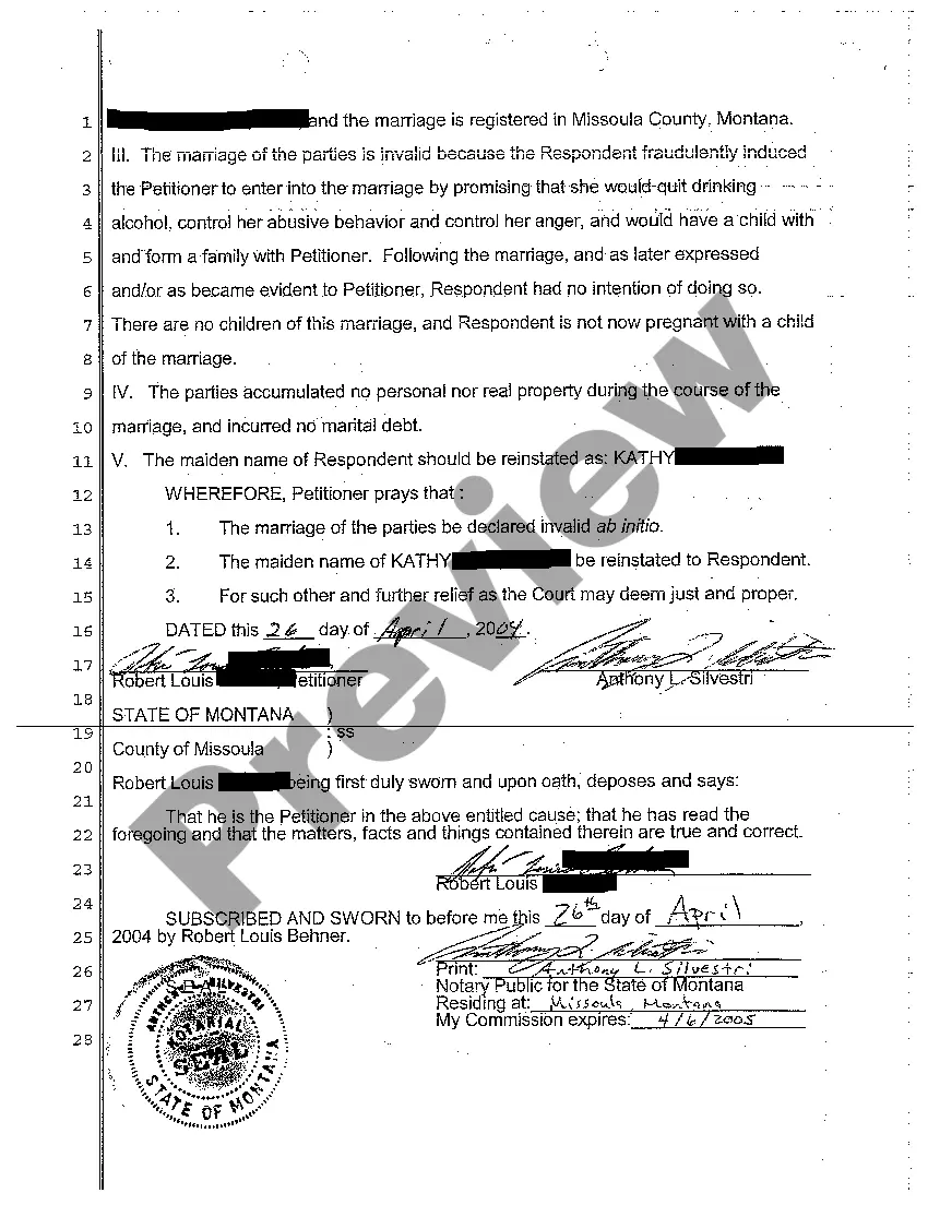 Preview A01 Petition for Invalidity of Marriage