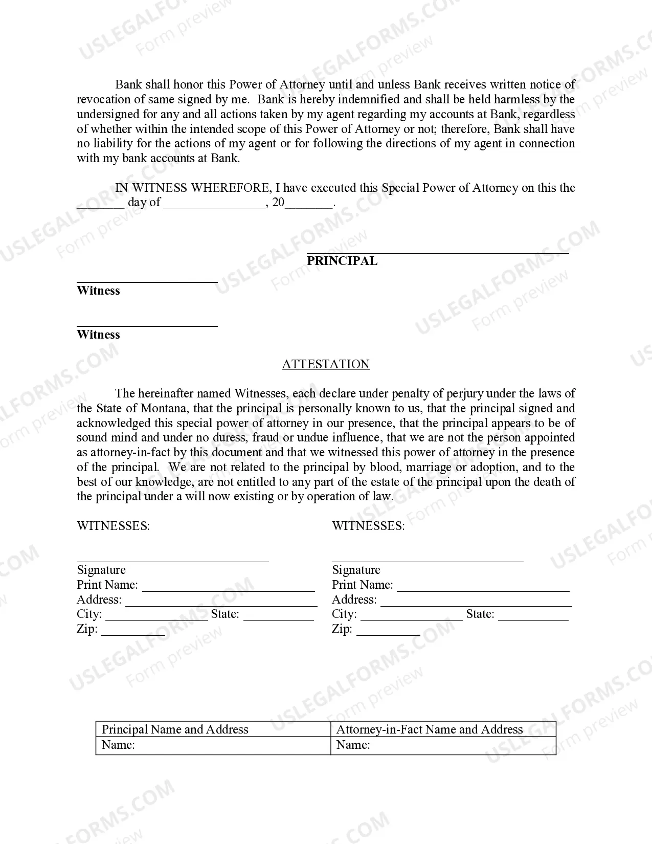 Preview Special Durable Power of Attorney for Bank Account Matters