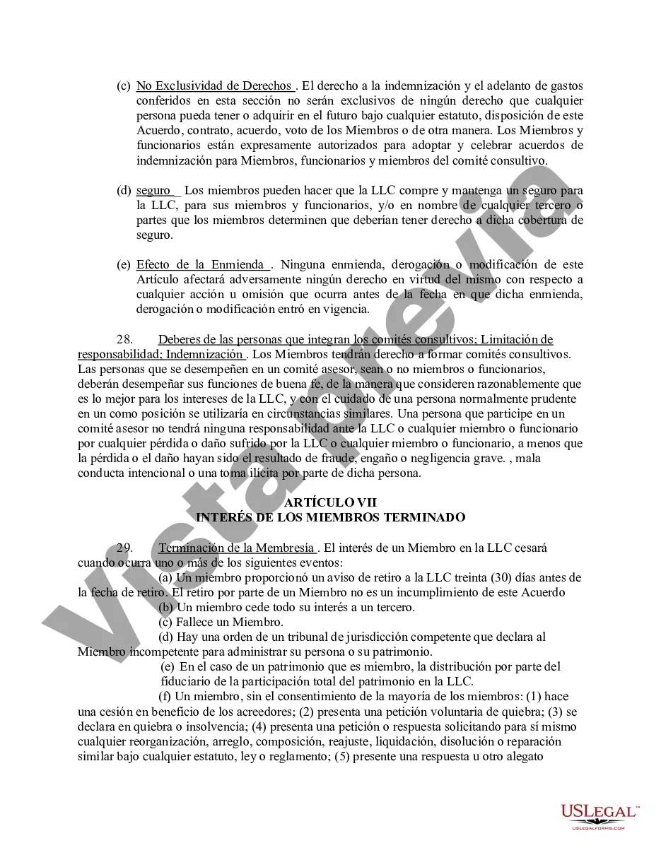 Preview Acuerdo Operativo de Sociedad de Responsabilidad Limitada LLC