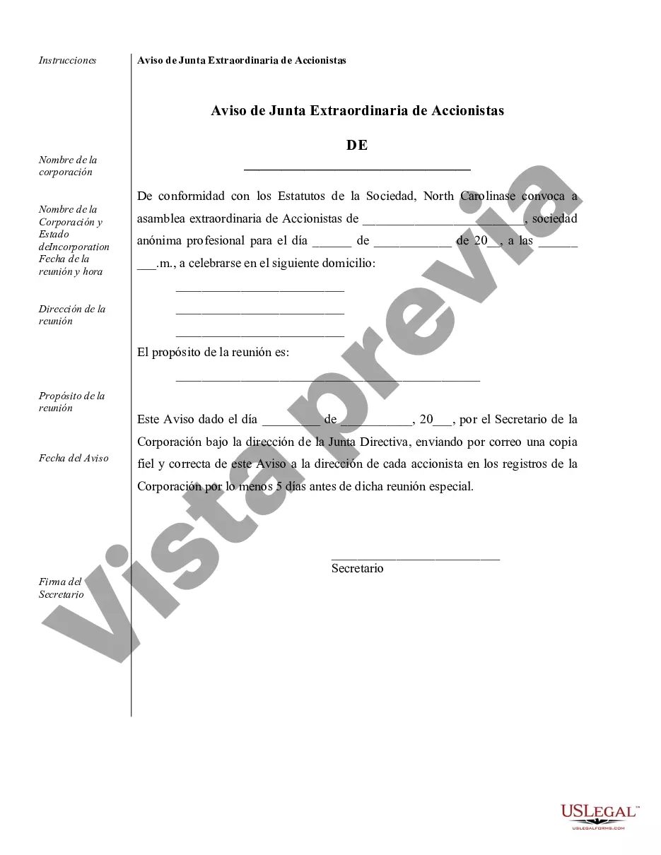 Preview Muestra de registros corporativos para una corporación profesional de Carolina del Norte