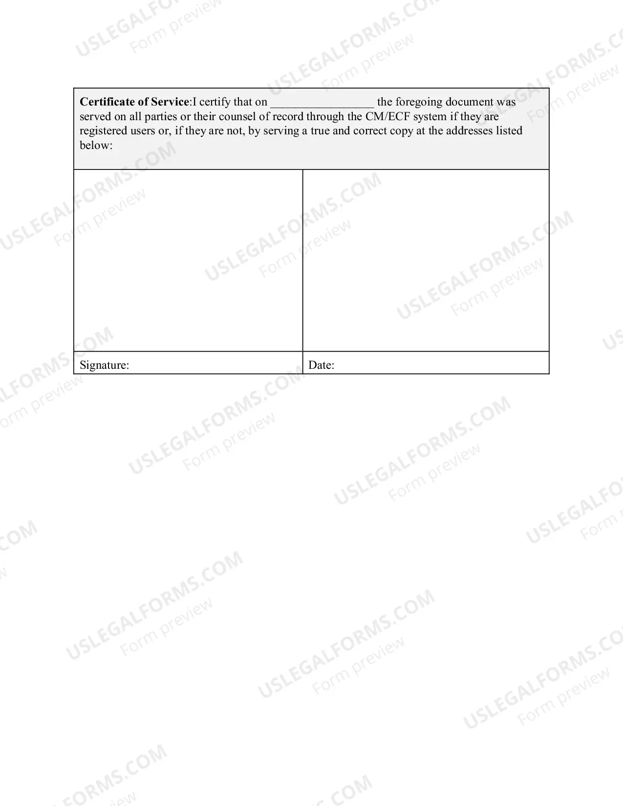 Preview Docketing Statement for Fourth Circuit Appeal - Criminal