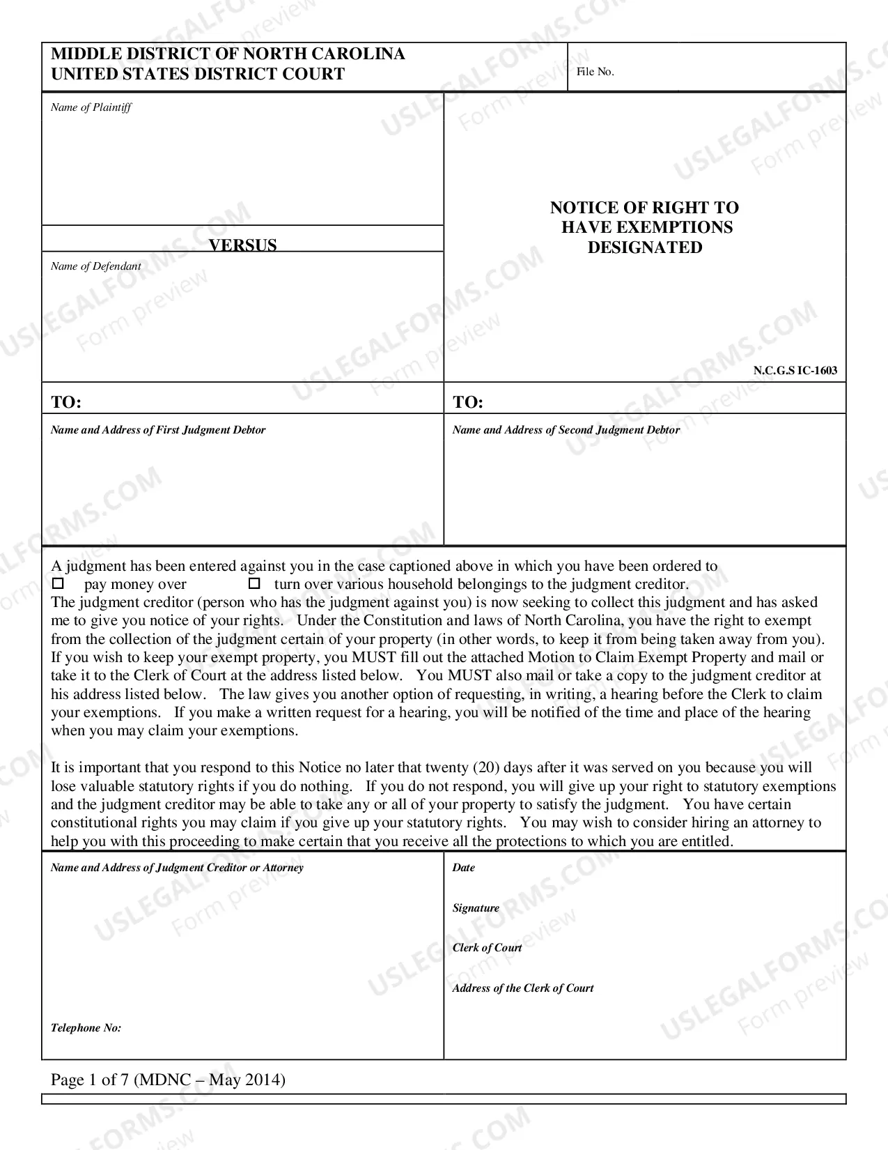 Preview Execution Form