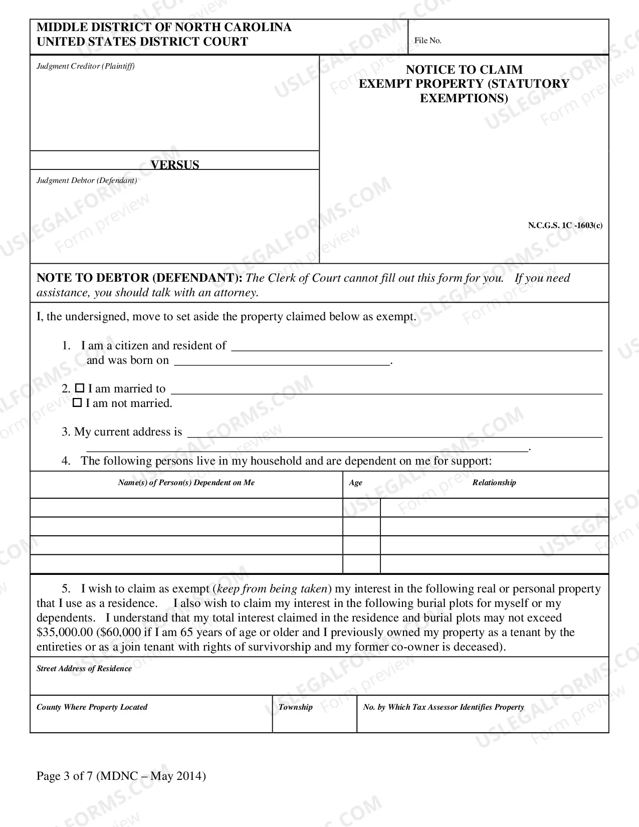 Preview Execution Form
