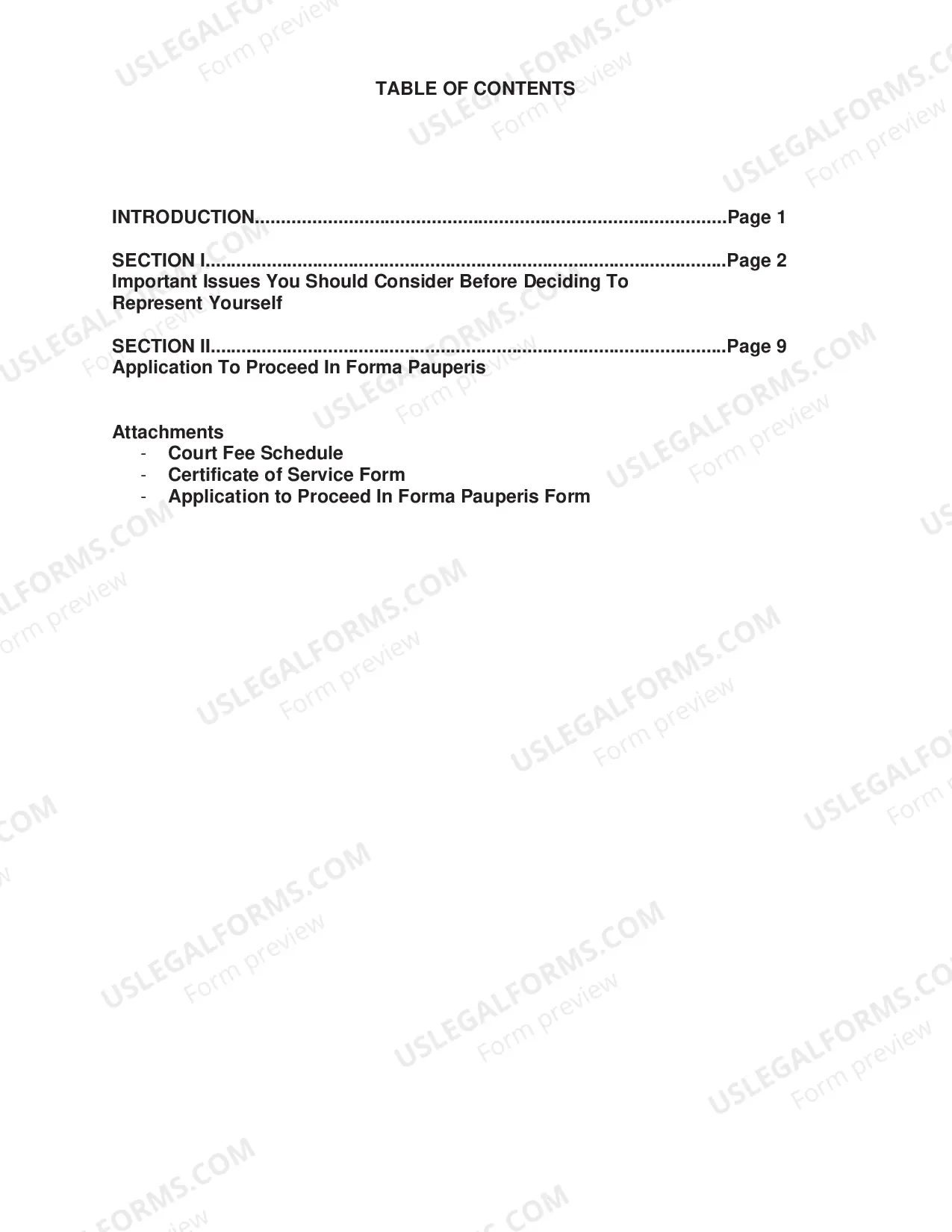 Preview Pro Se Litigant Guide