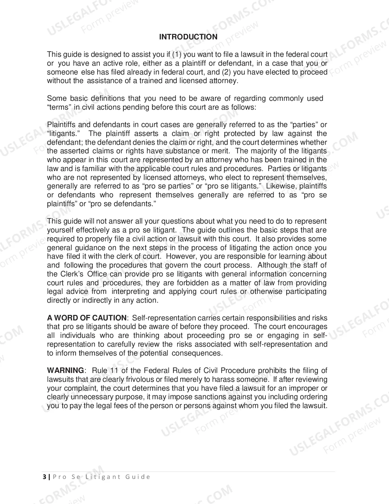 Preview Pro Se Litigant Guide
