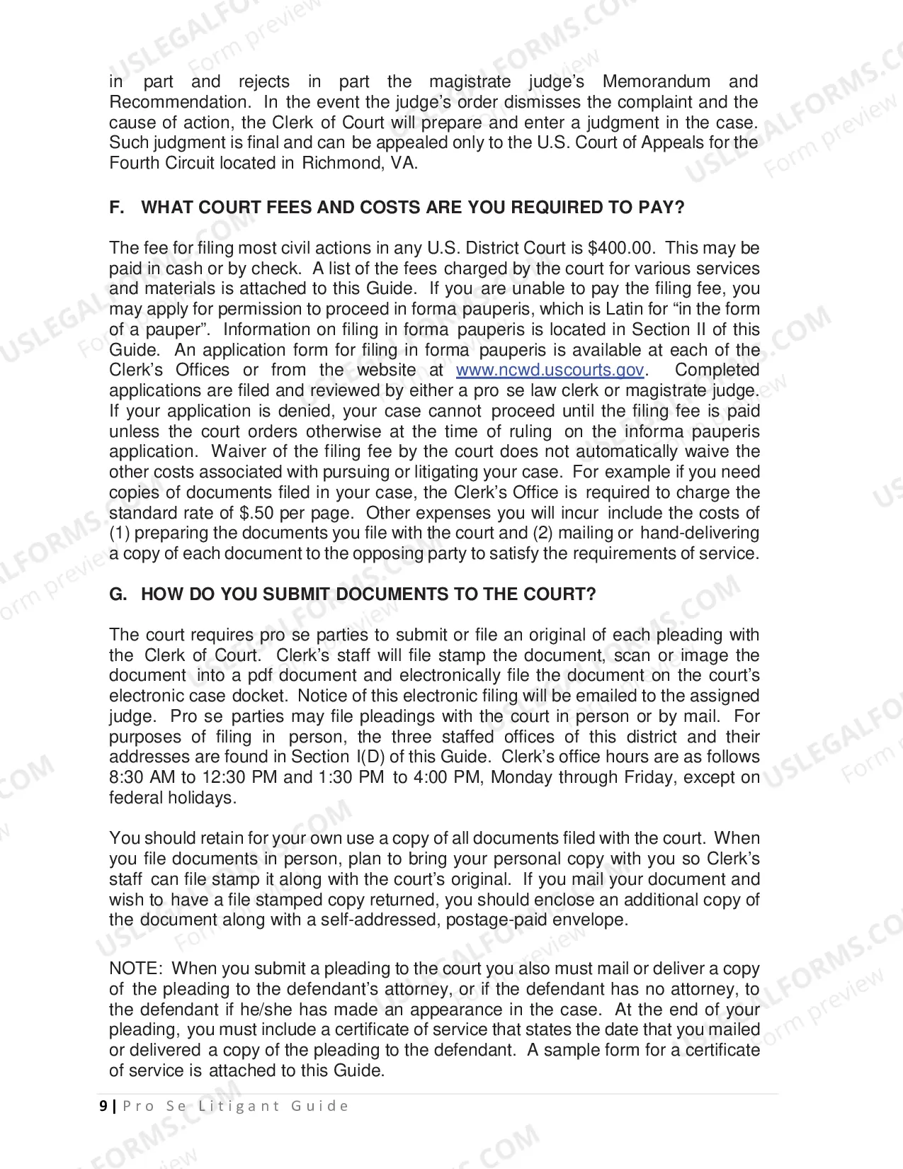 Preview Pro Se Litigant Guide