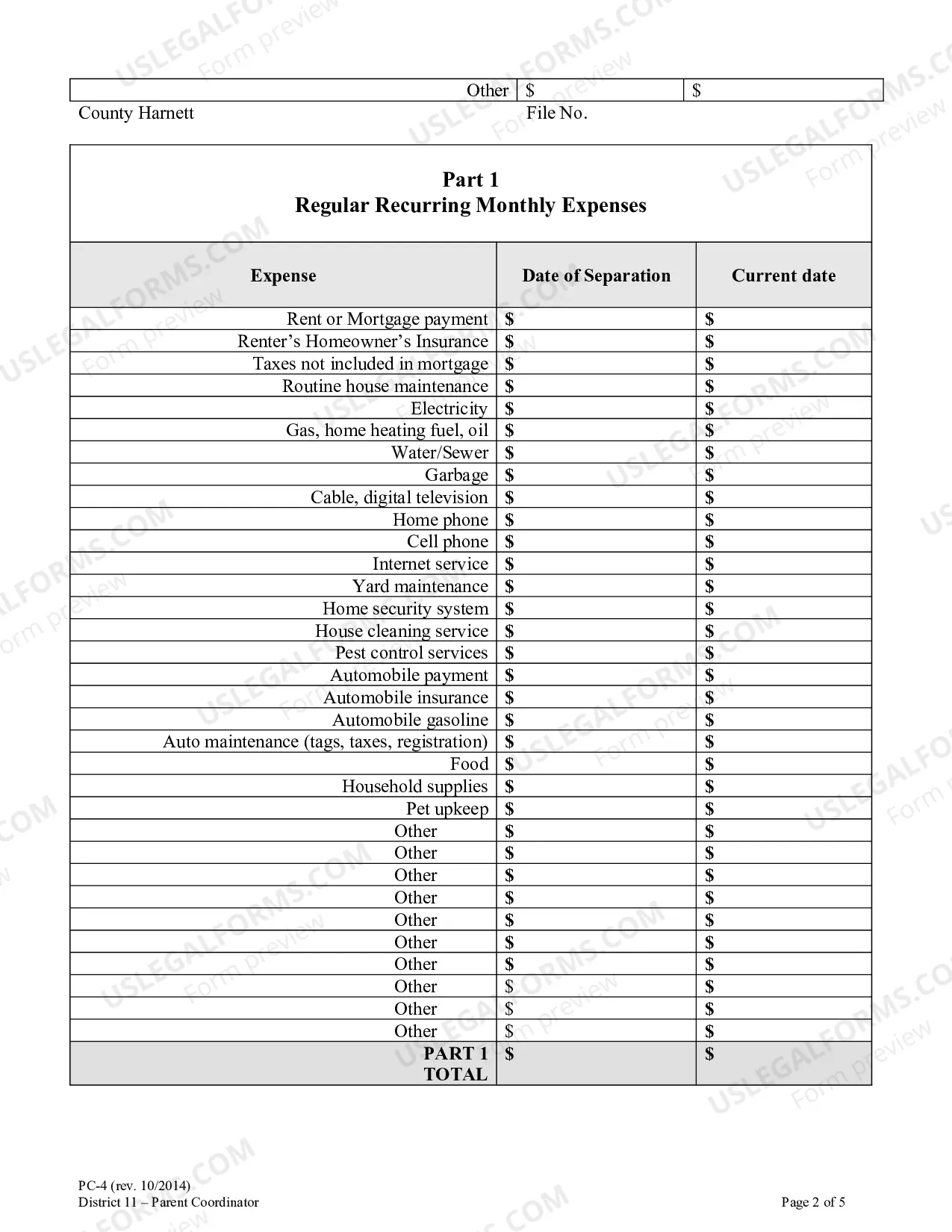 Preview Financial Affidavit
