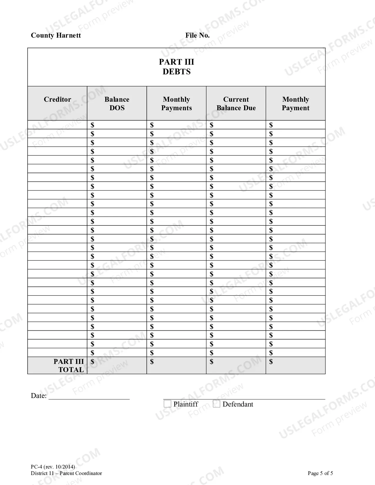 Preview Financial Affidavit