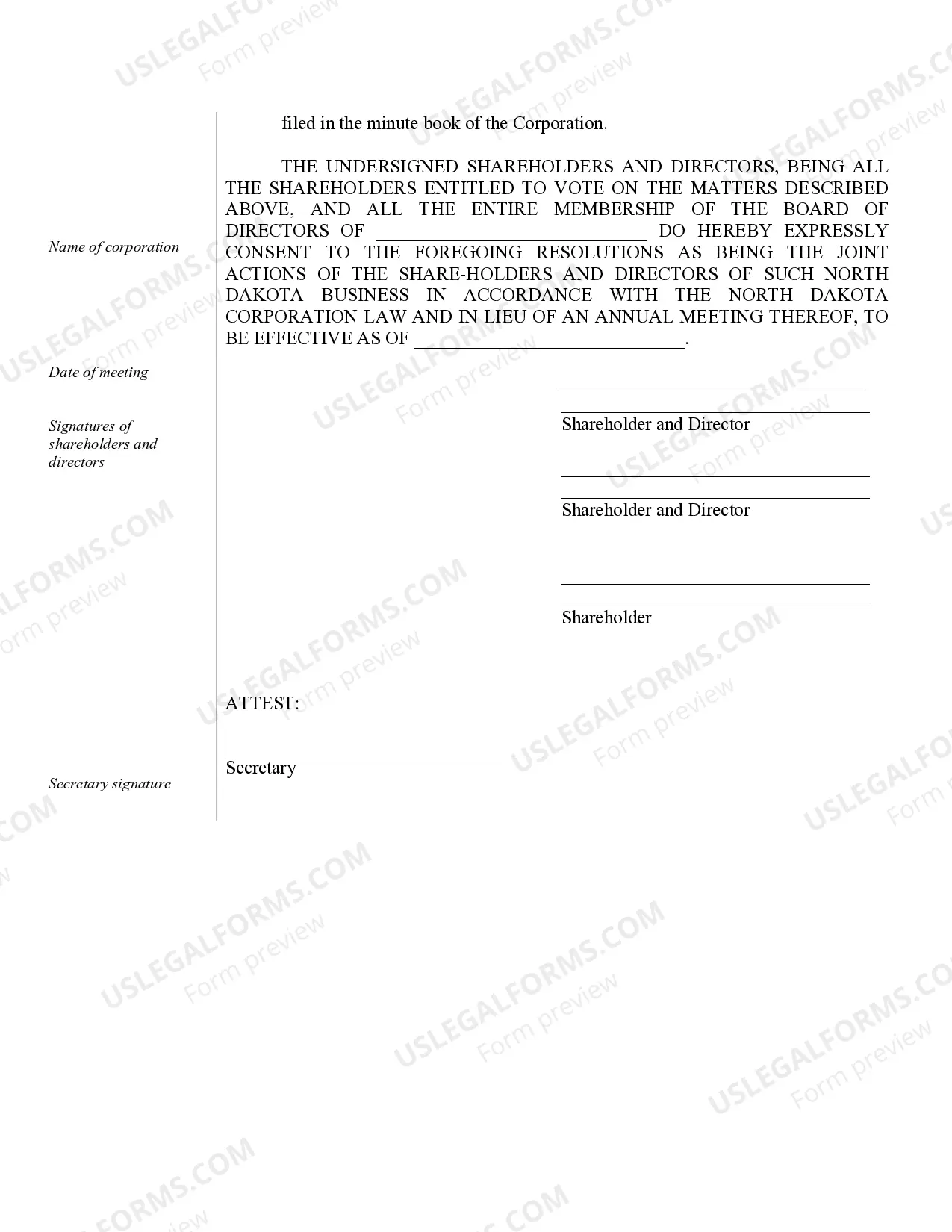 Preview Sample Annual Minutes for a North Dakota Professional Corporation