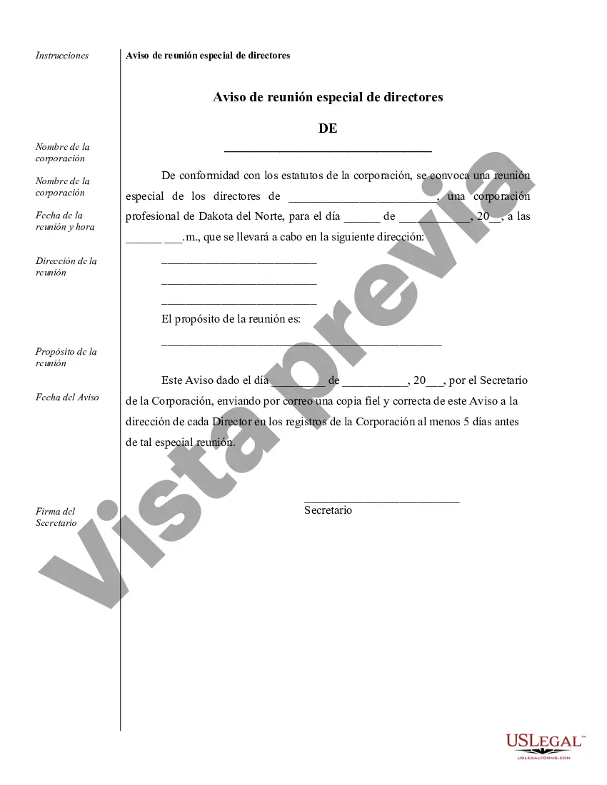 Preview Ejemplos de registros corporativos para una corporación profesional de Dakota del Norte