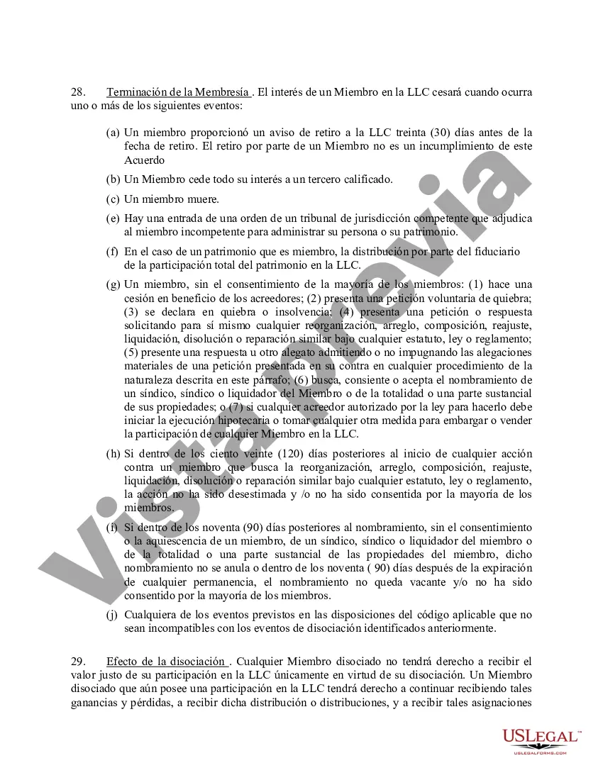 Preview Acuerdo Operativo de Sociedad de Responsabilidad Limitada LLC