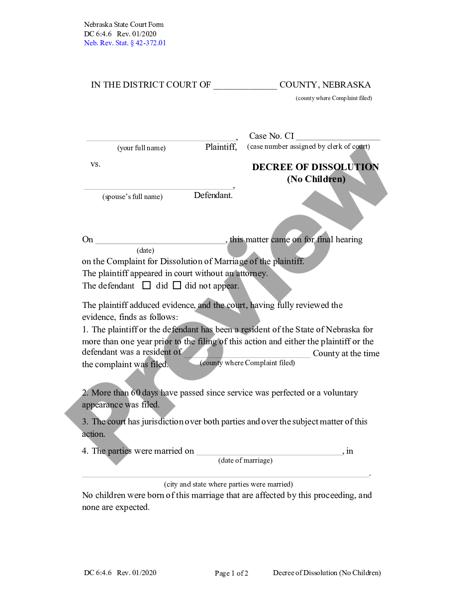 page 0 Decree of Dissolution of Marriage - Adult Children preview