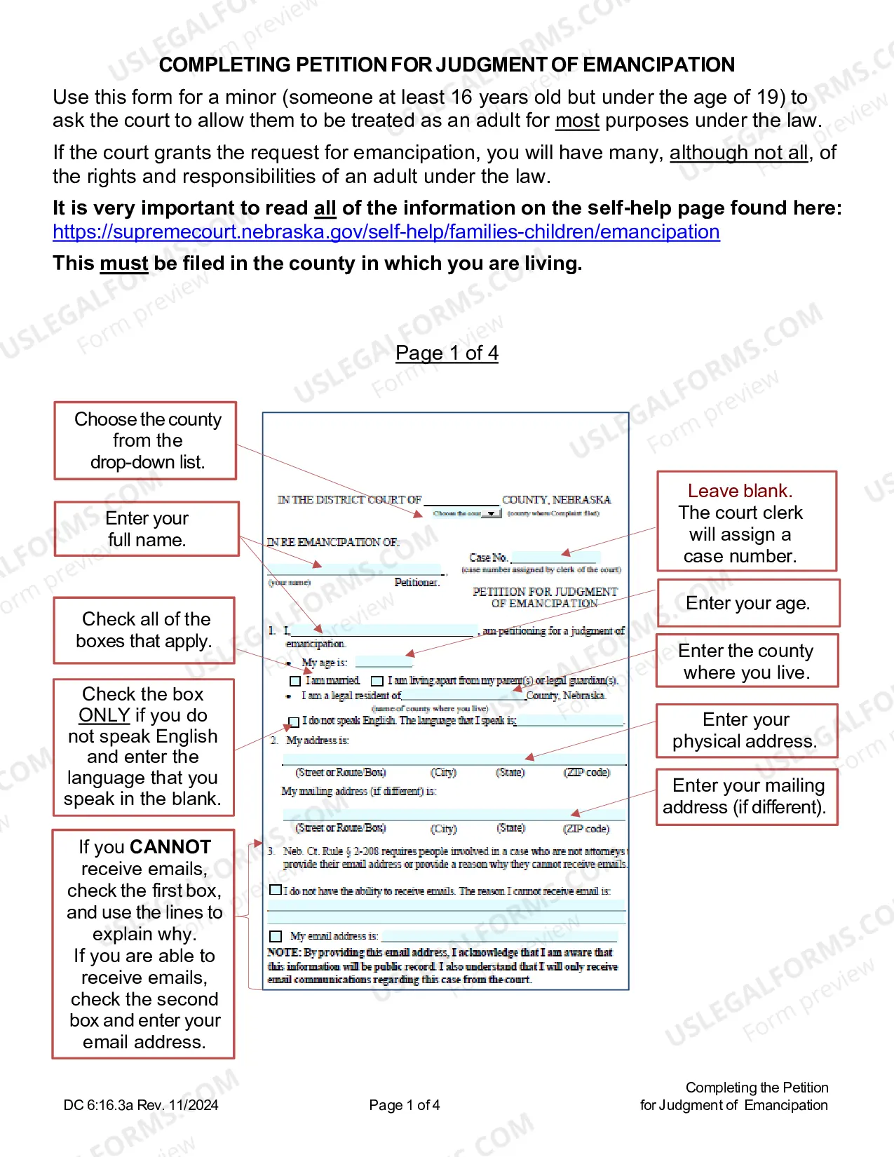 Preview Instructions for Completing Petition for Judgment of Emancipation