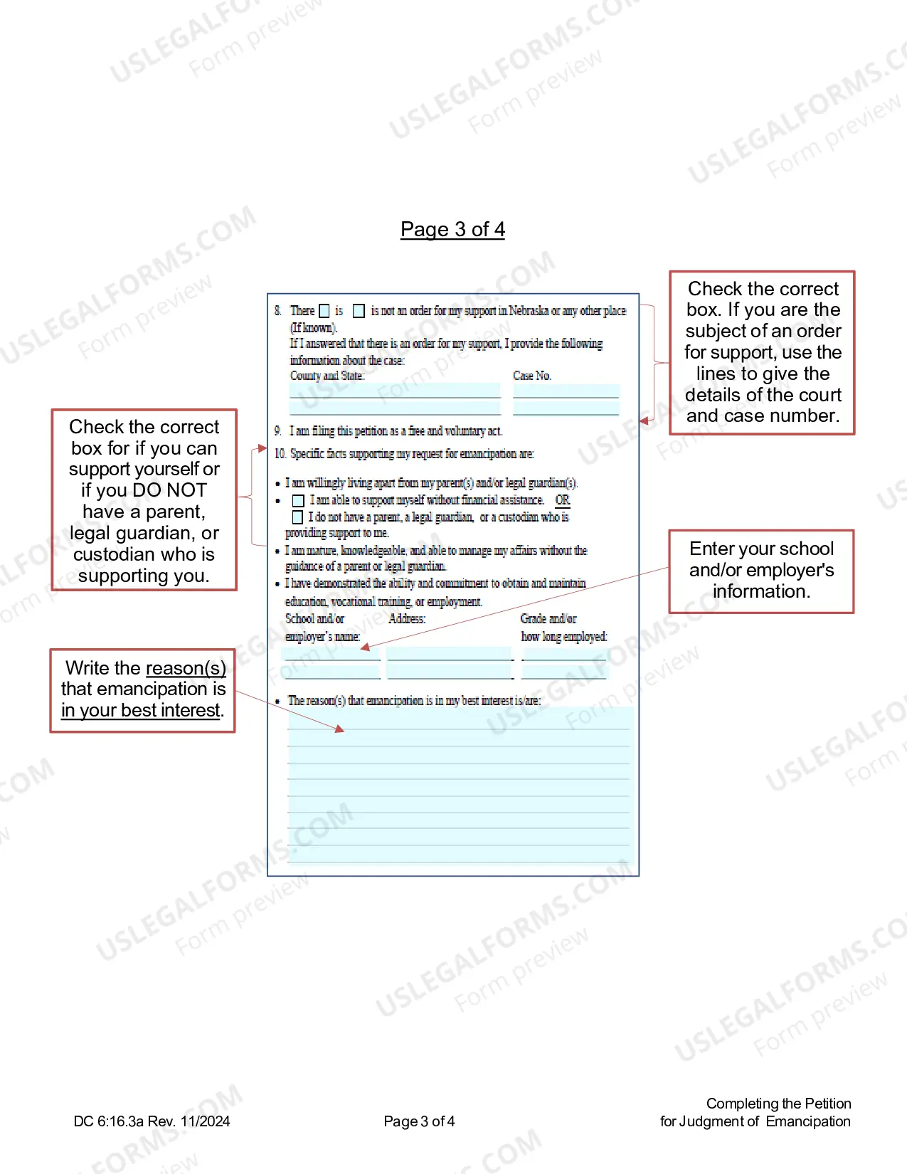 Preview Instructions for Completing Petition for Judgment of Emancipation