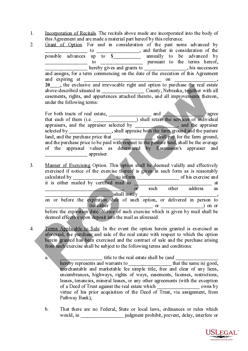 Preview Option Agreement