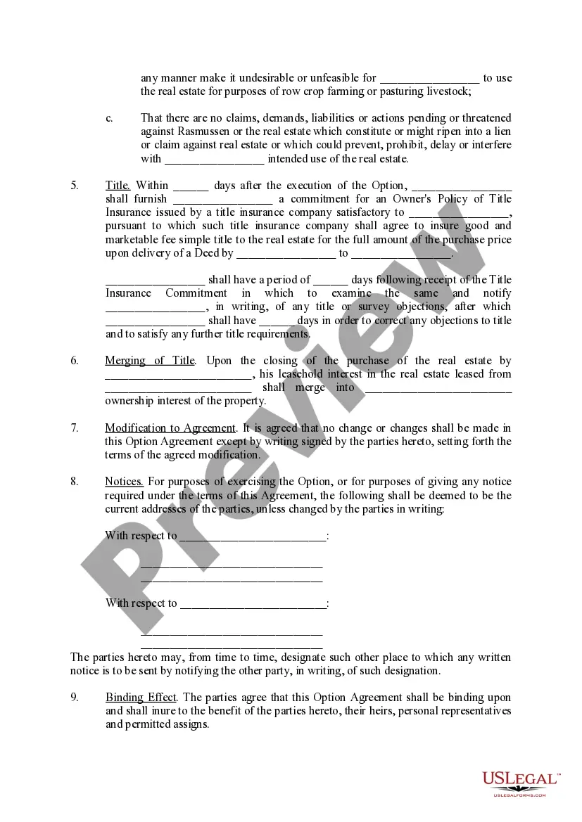 Preview Option Agreement