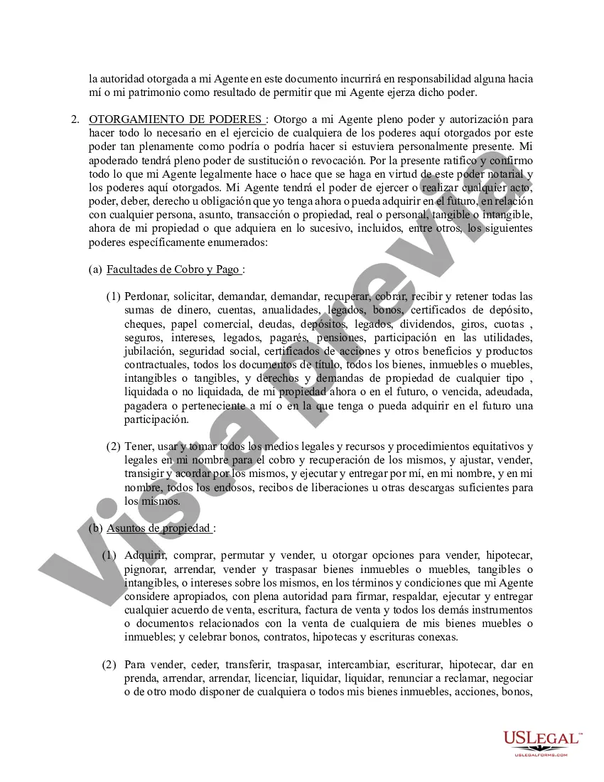 Preview Poder general duradero para la propiedad y las finanzas o efectivo financiero en caso de incapacidad