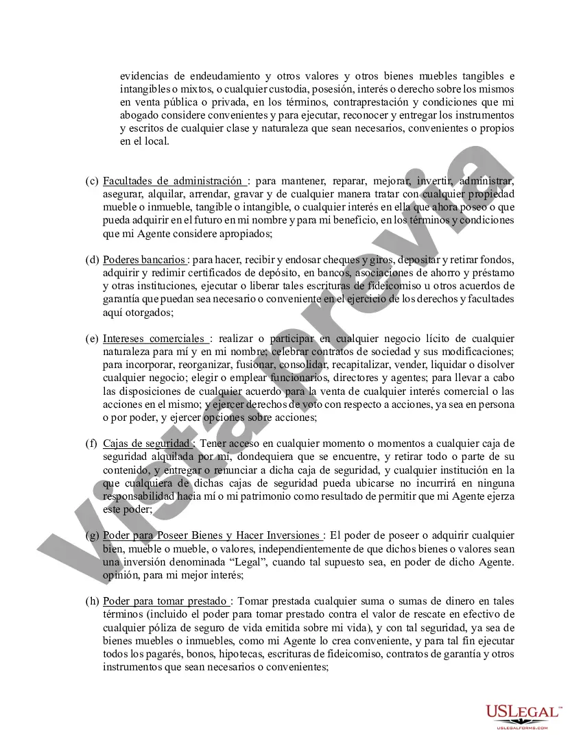 Preview Poder general duradero para la propiedad y las finanzas o efectivo financiero en caso de incapacidad