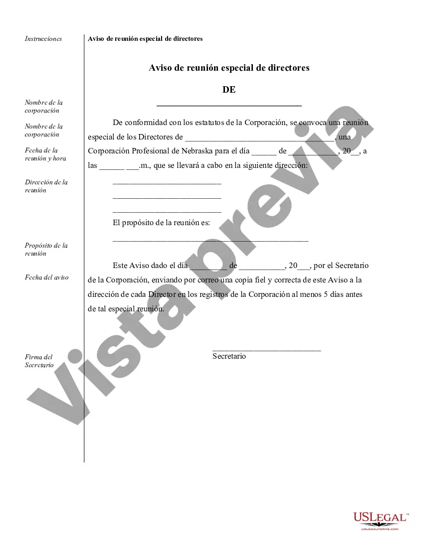 Preview Ejemplos de registros corporativos para una corporación profesional de Nebraska