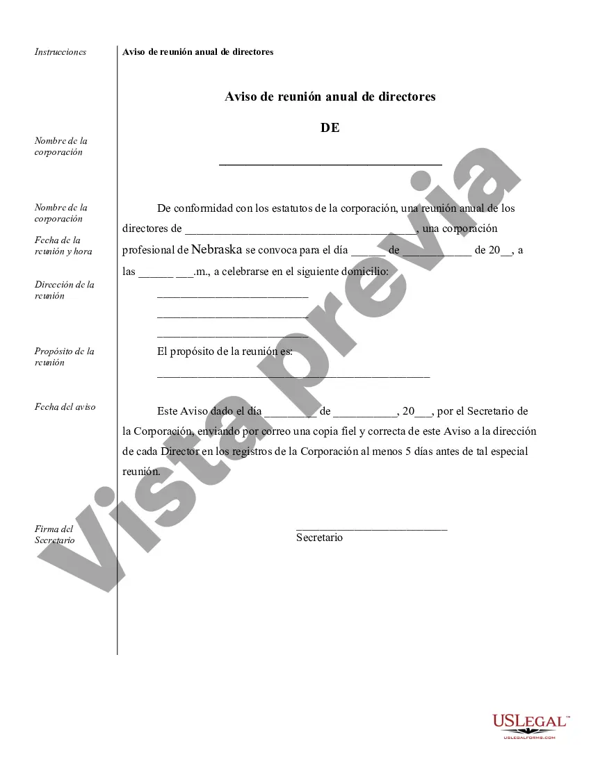 Preview Ejemplos de registros corporativos para una corporación profesional de Nebraska