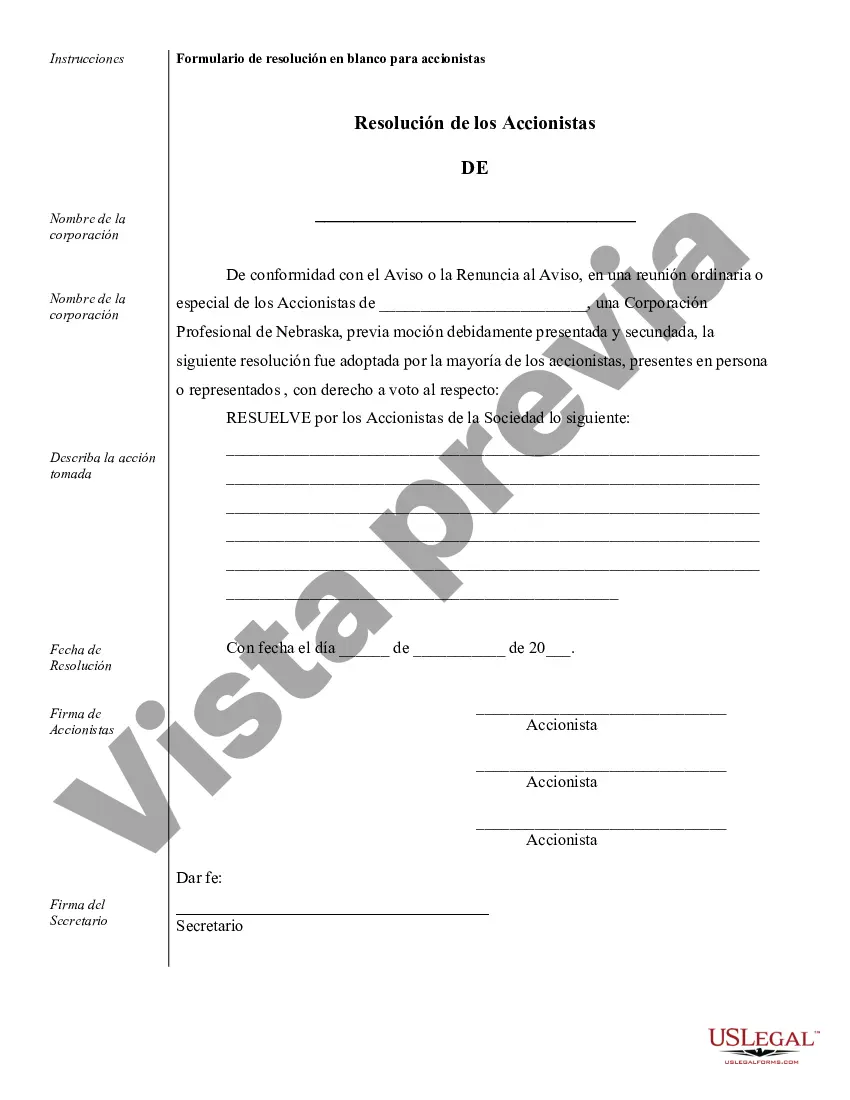 Preview Ejemplos de registros corporativos para una corporación profesional de Nebraska