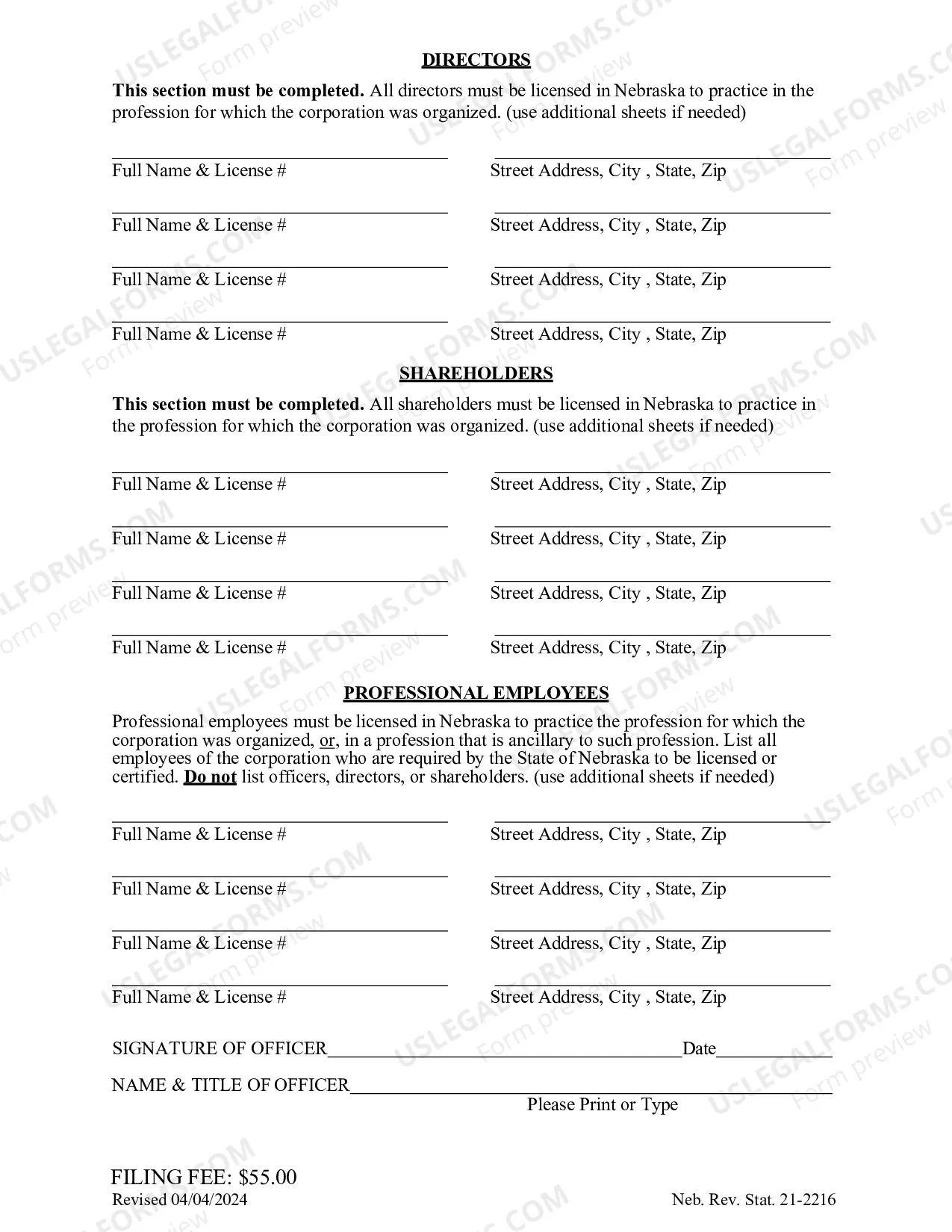 Preview Application For Electronic Access of Records