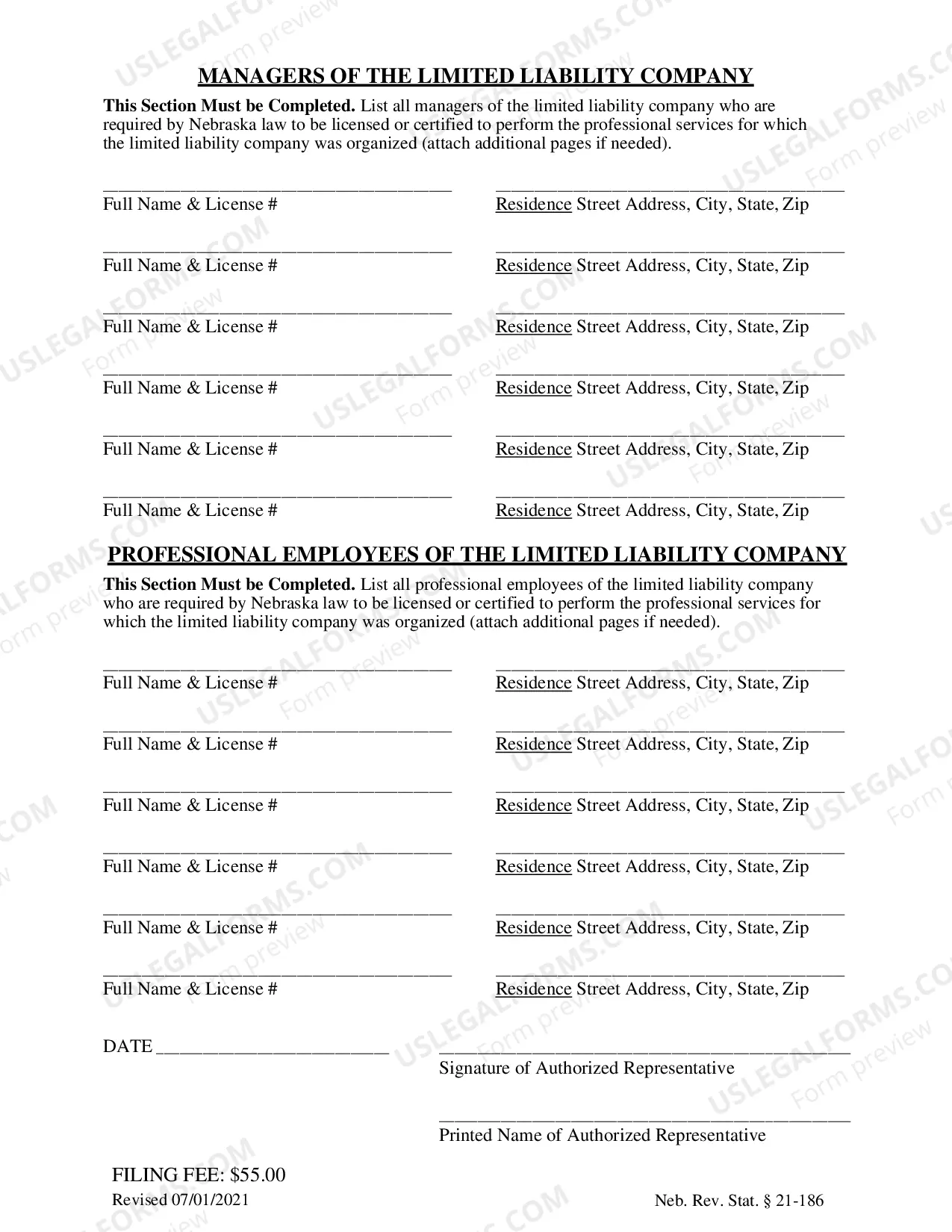 Preview Application For Electronic Access of Records