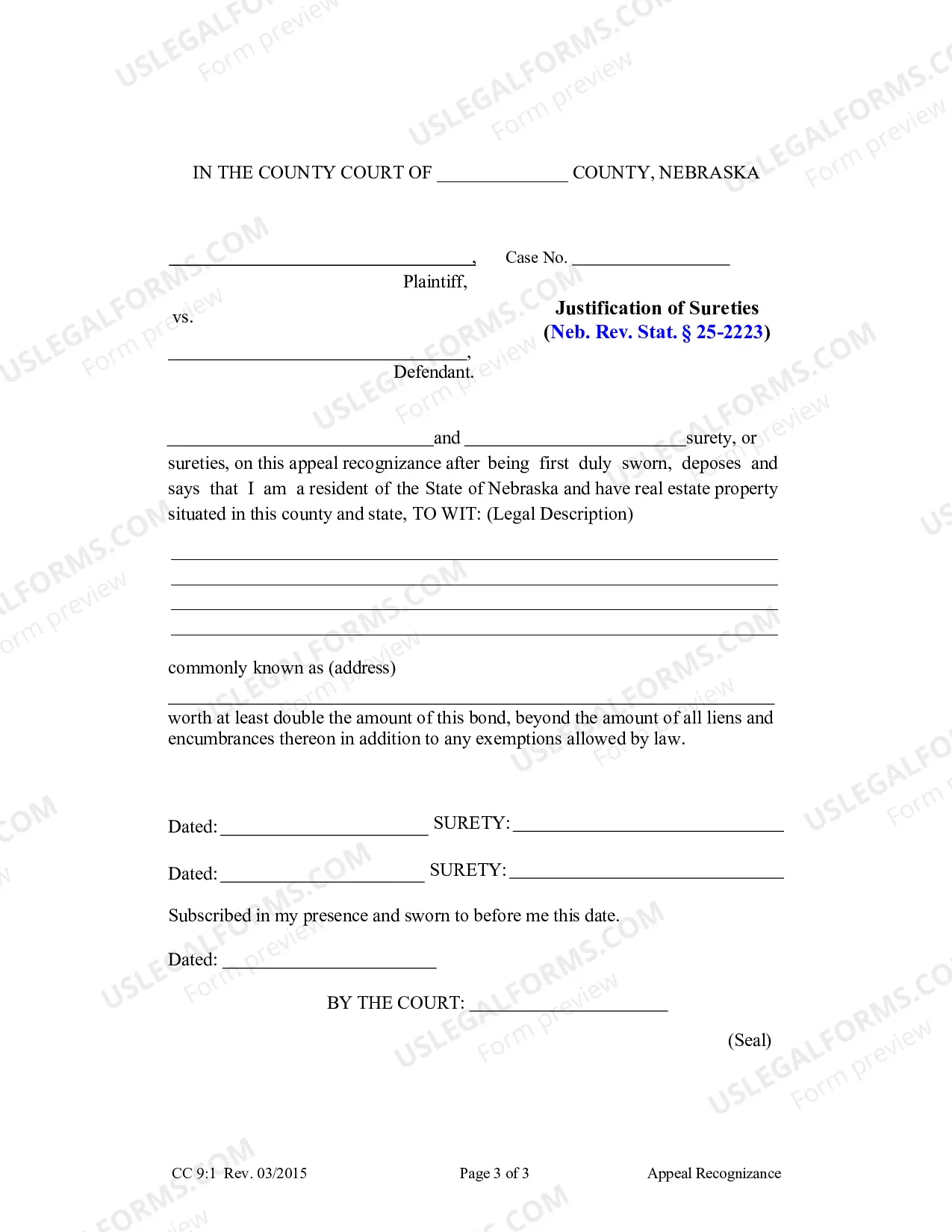 Preview Appeal Recognizance