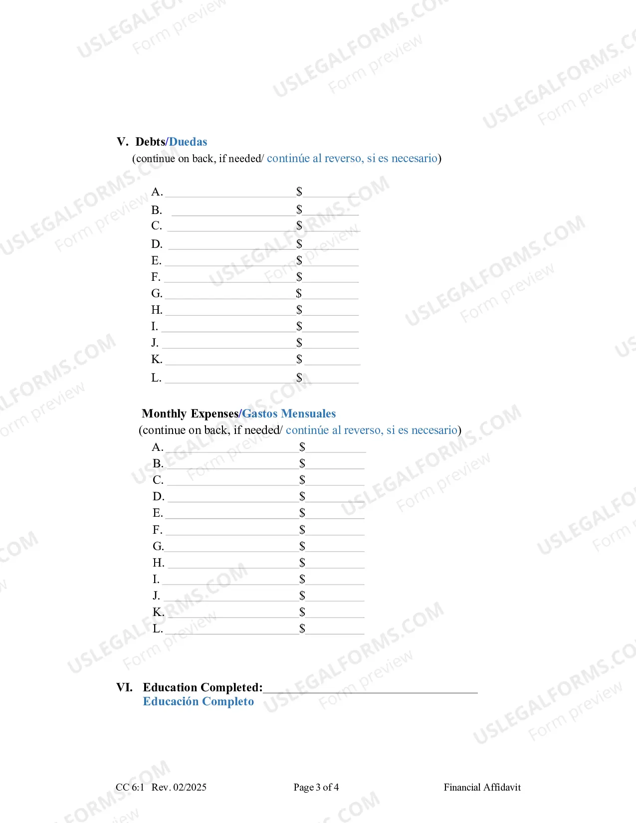 Preview Financial Affidavit