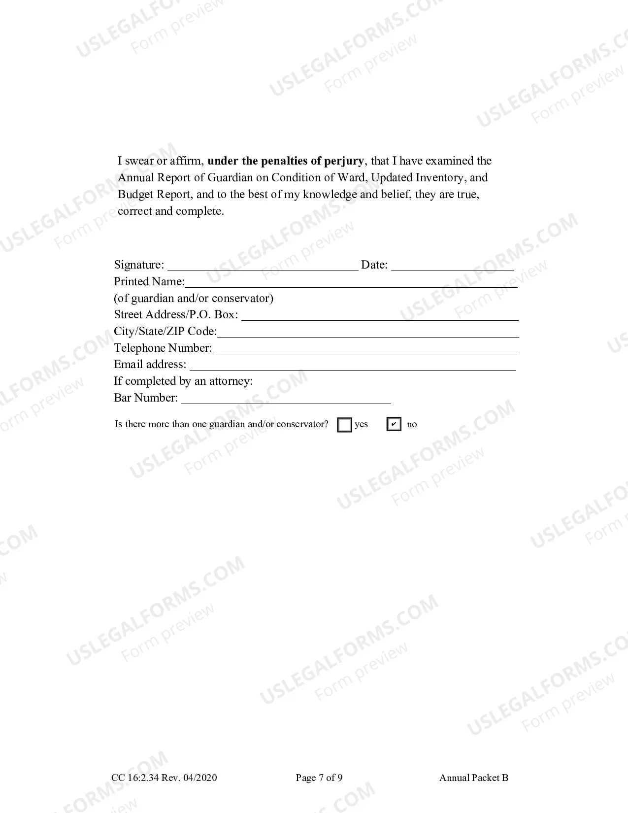 Preview Packet B (Guardianship with Budget Annual Reporting Forms)