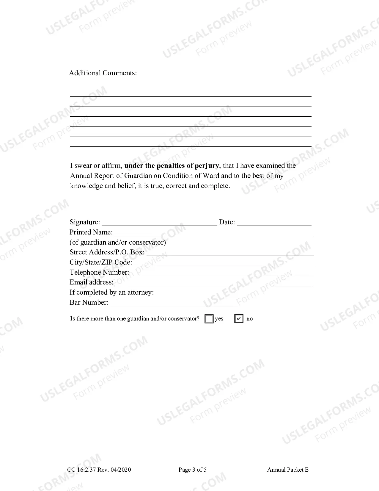 Preview Packet E (Guardianship with no Authority Over the Estate of the Ward Annual Reporting Forms)
