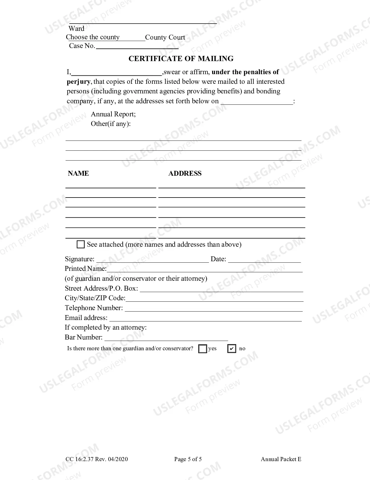 Preview Packet E (Guardianship with no Authority Over the Estate of the Ward Annual Reporting Forms)