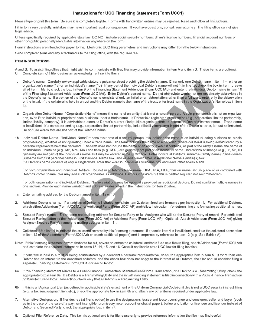 Preview Nebraska UCC1 Financing Statement