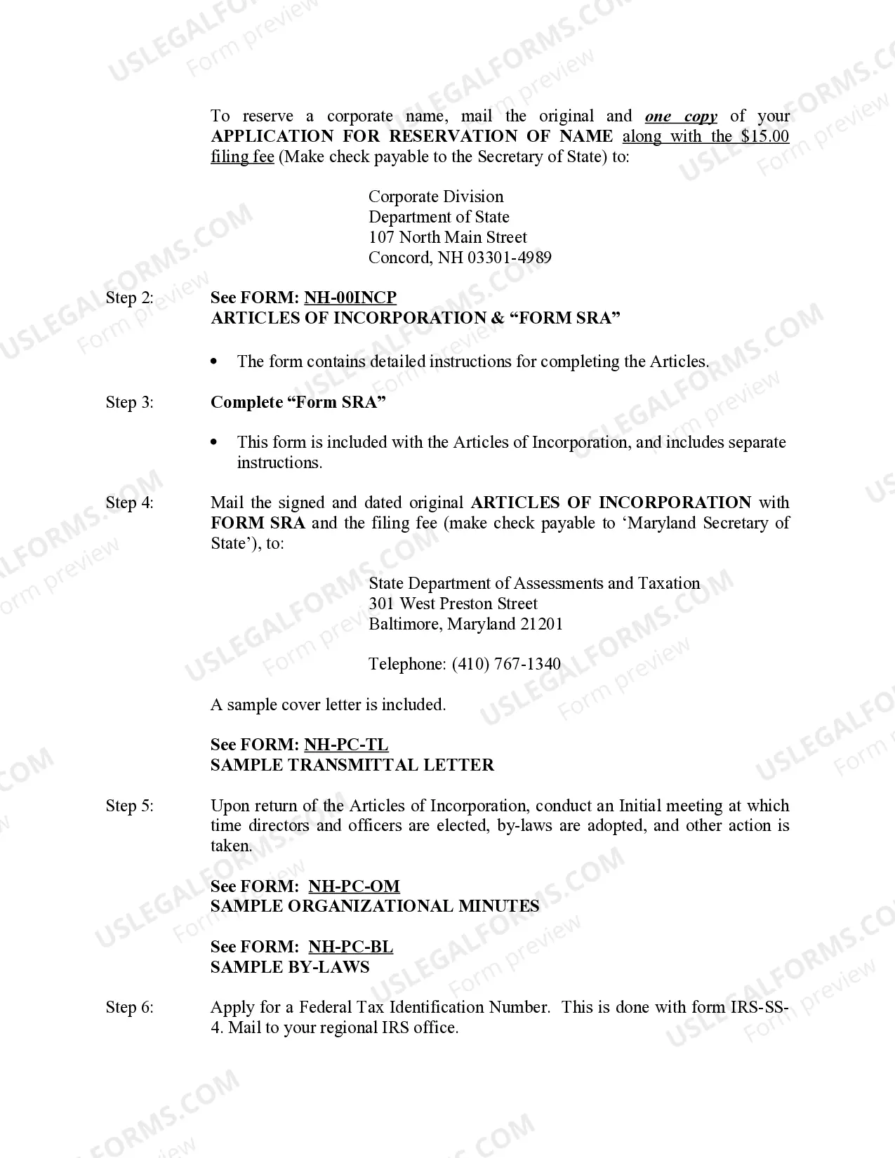 Preview Professional Corporation Package for New Hampshire