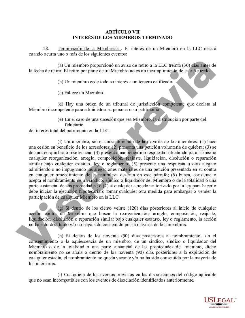 Preview Acuerdo Operativo de Sociedad de Responsabilidad Limitada LLC
