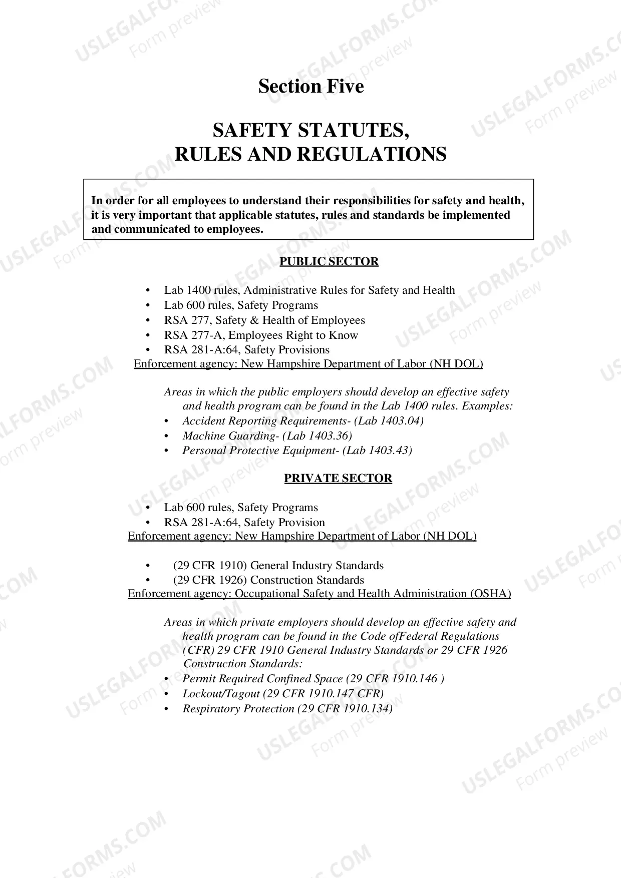Preview New Hampshire Guide for Drafting a Written Safety Plan