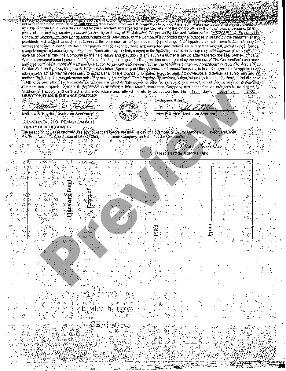 page 2 A03 Certificate of Appointment of Conservator preview
