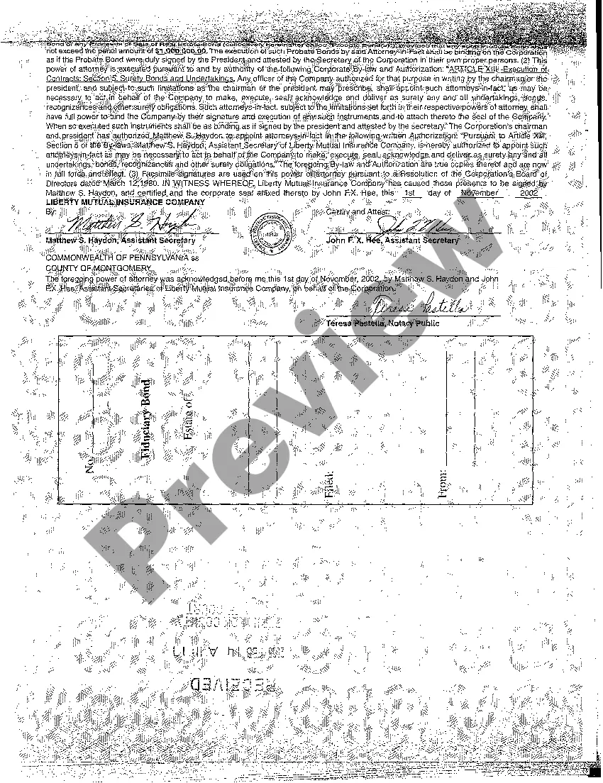 Preview A03 Certificate of Appointment of Conservator