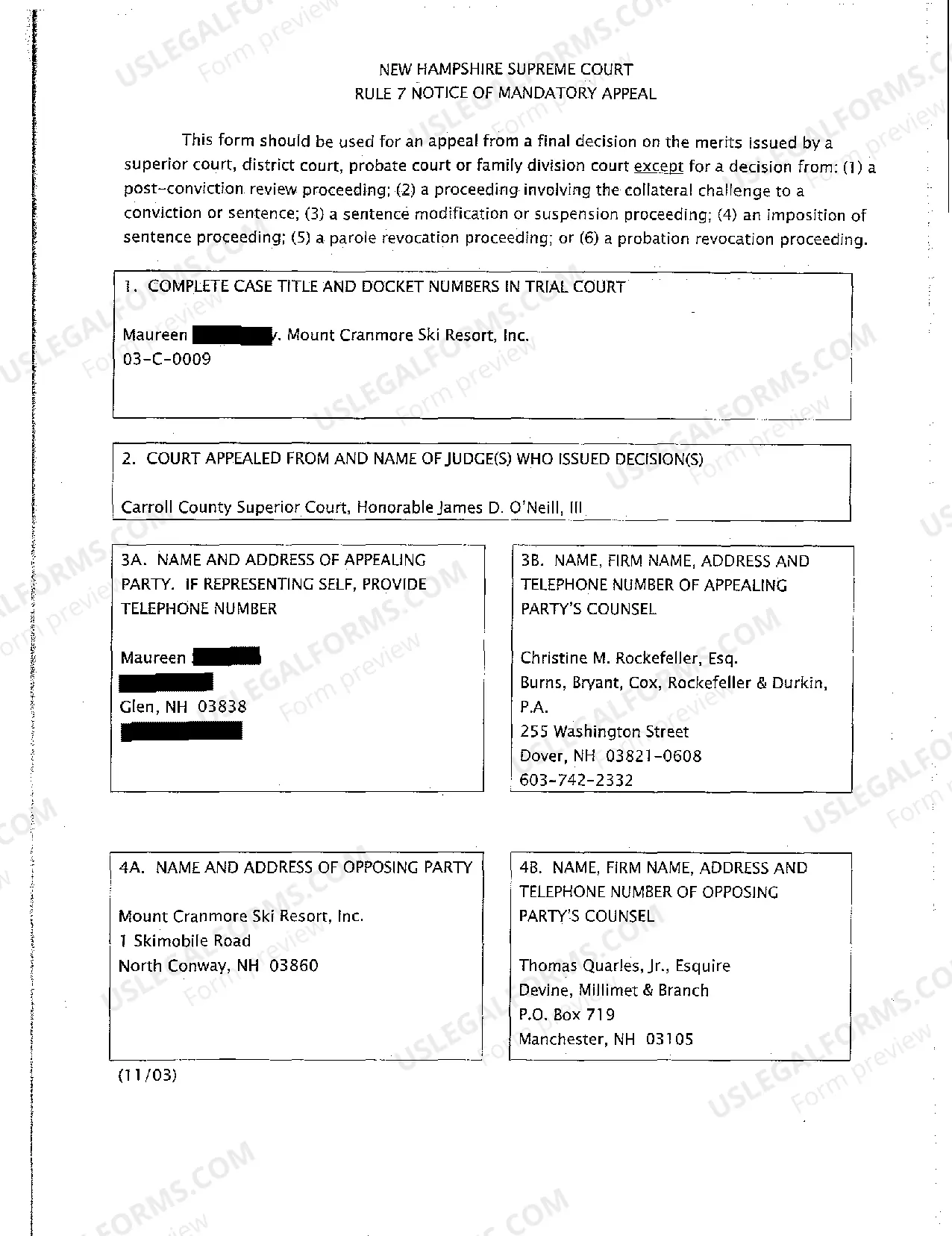 Preview A01 Argued Issues - Personal Injury Appeal Decision - New Hampshire Supreme Court