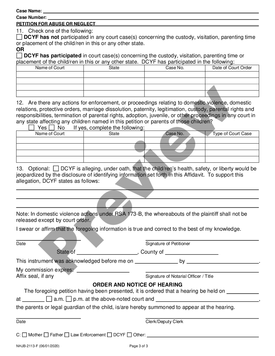 page 2 Petition for Abuse / Neglect preview