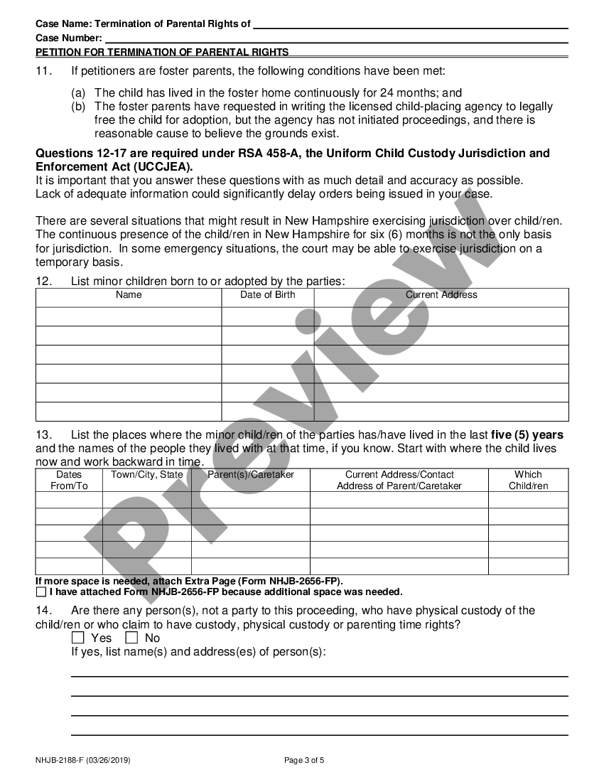 page 2 Petition for Termination of Parental Rights preview